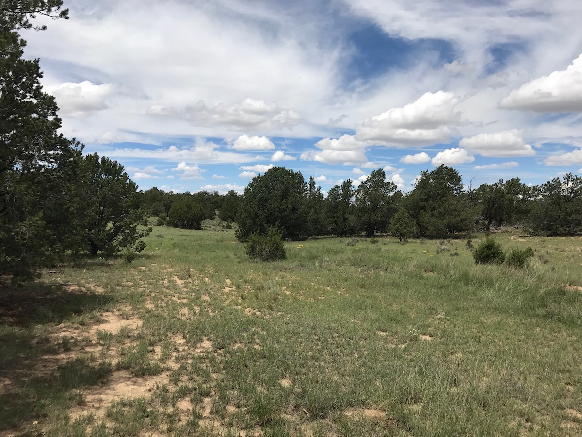 Ponderosa Ranches Lot 13 New Mexico Land for Sale 148.69 Acres